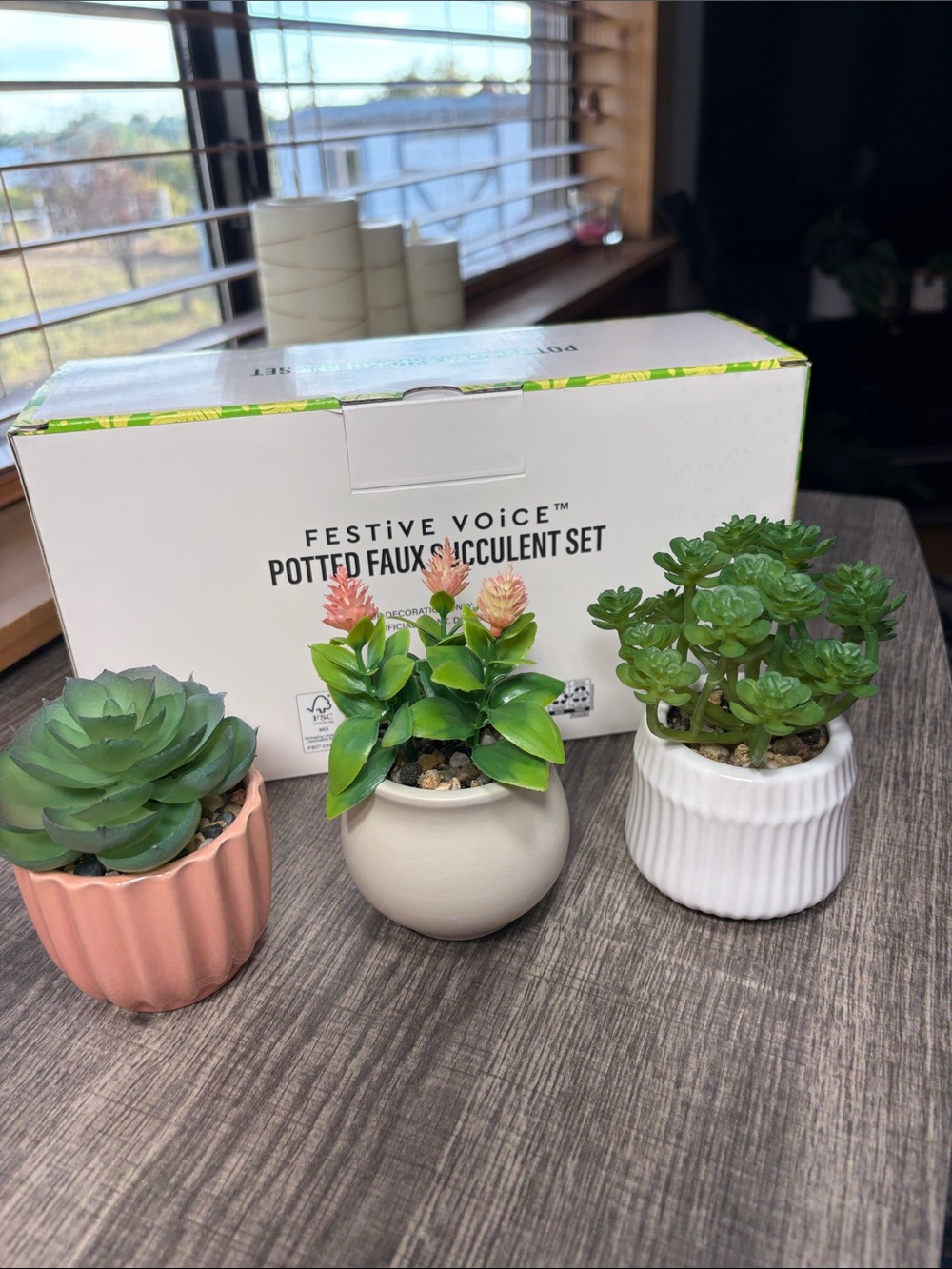 Festive Voice Faux Succulent Potted Set